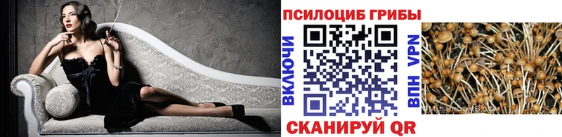 Галлюциногенные грибы MAGIC MUSHROOMS Урус-Мартан
